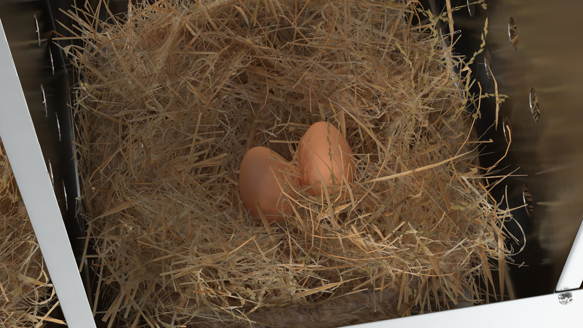 10-Hole Poultry Nest Box With Chicken Eggs 3D