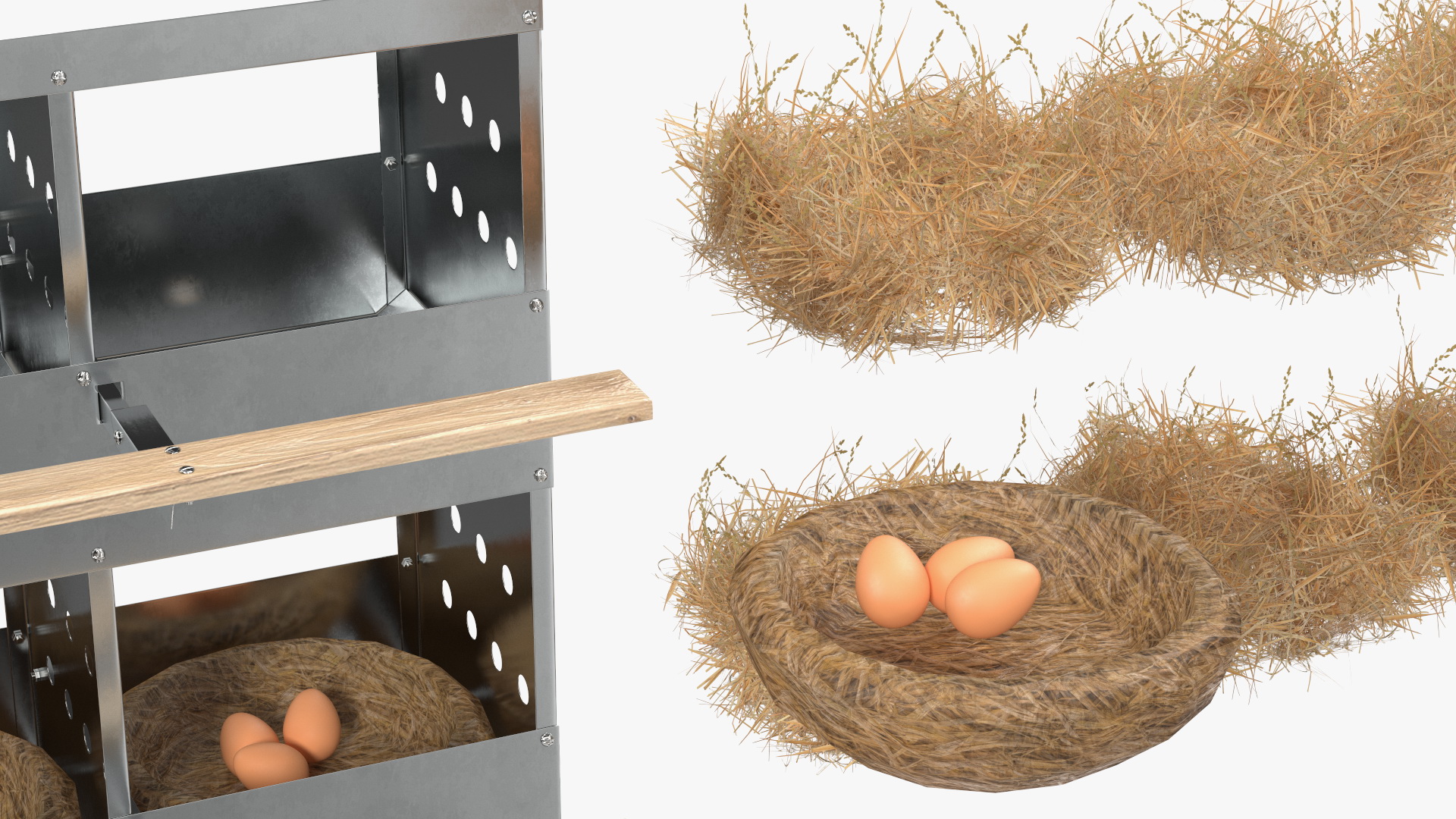 10-Hole Poultry Nest Box With Chicken Eggs 3D