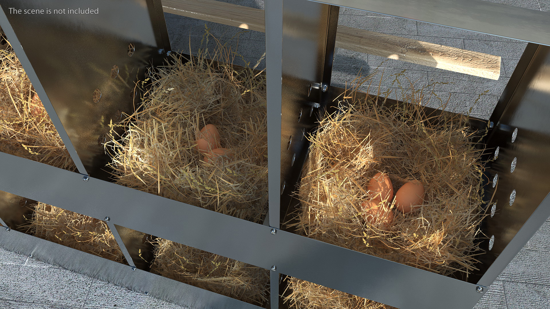 10-Hole Poultry Nest Box With Chicken Eggs 3D