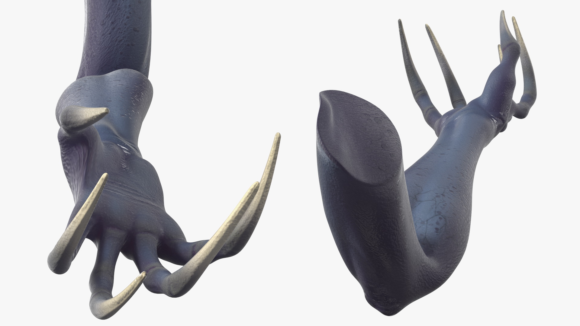 3D Scary Creature Arm model