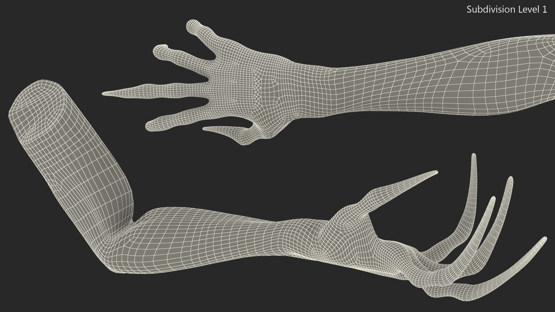 3D Scary Creature Arm model