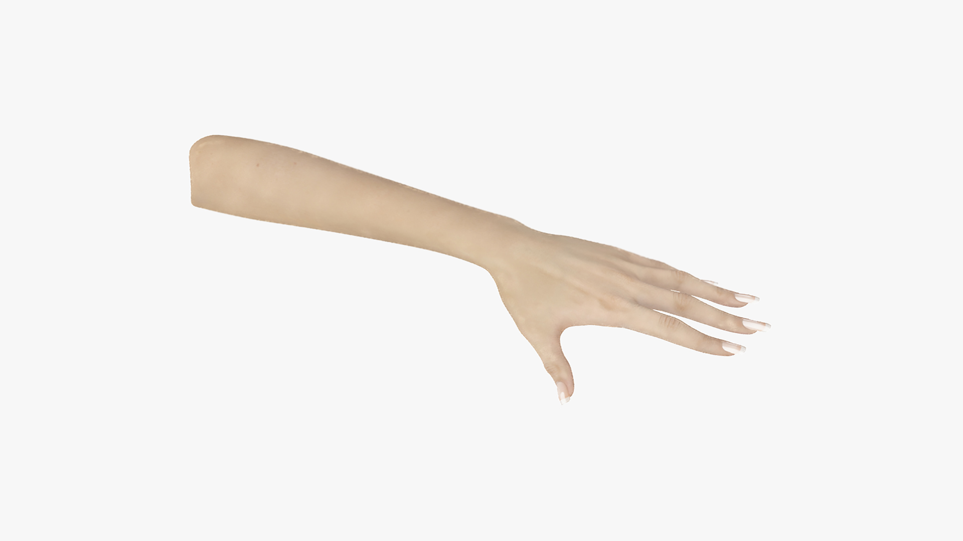 3D White Female Hand Rigged for Cinema 4D model