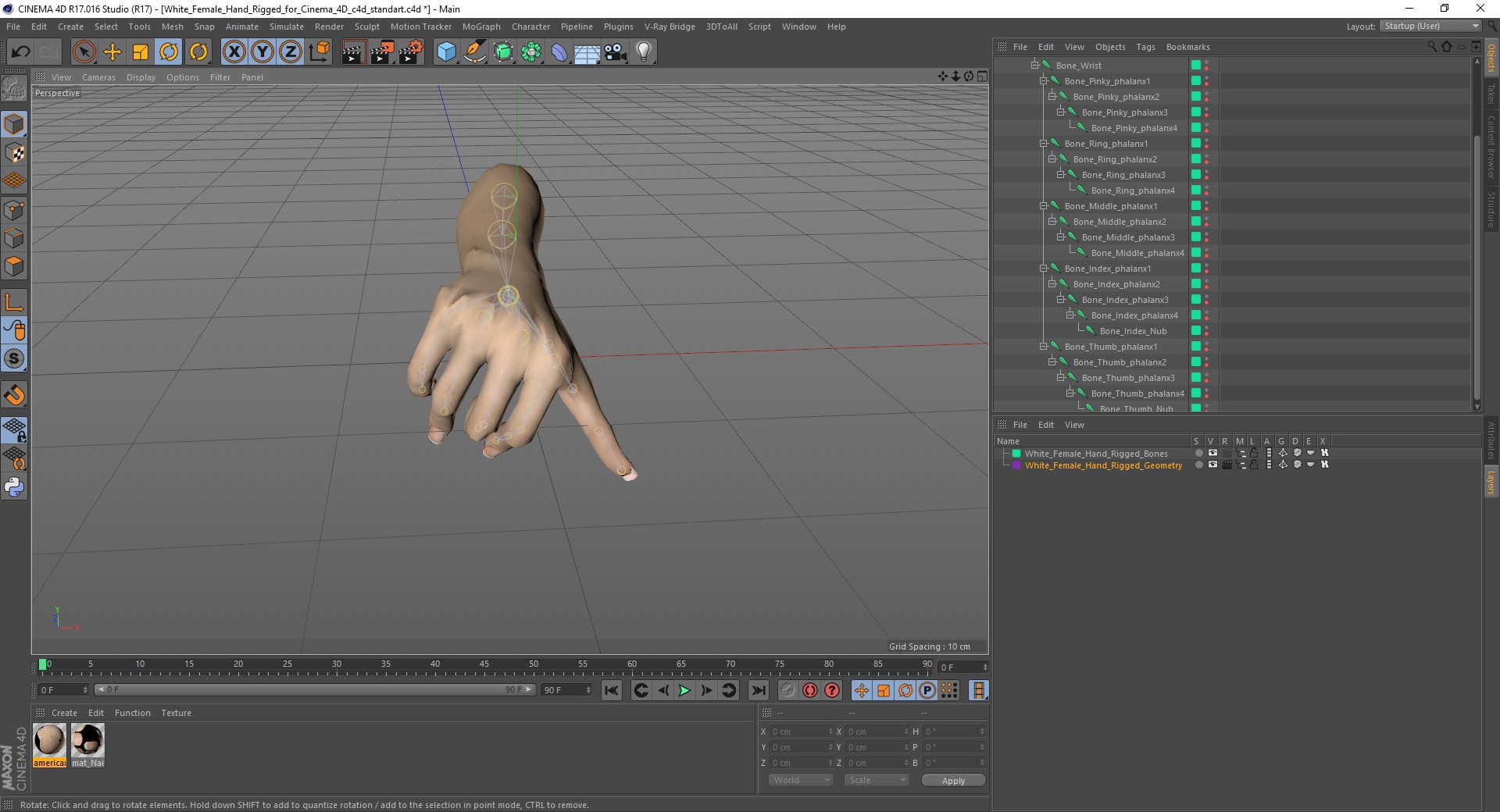 3D White Female Hand Rigged for Cinema 4D model