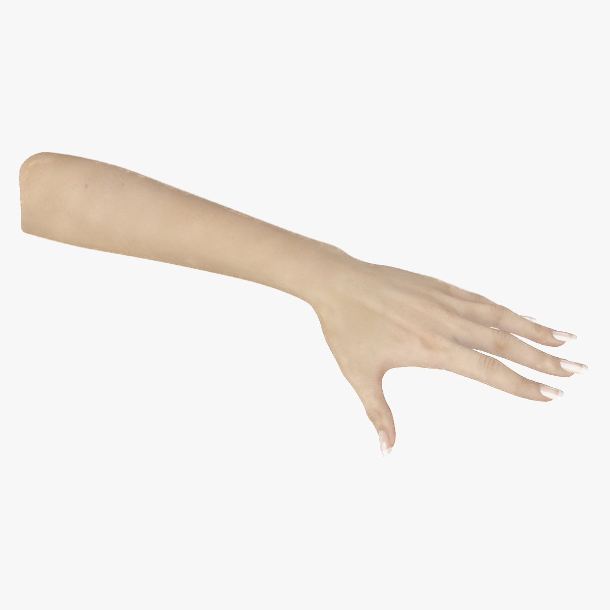 3D White Female Hand Rigged for Cinema 4D model