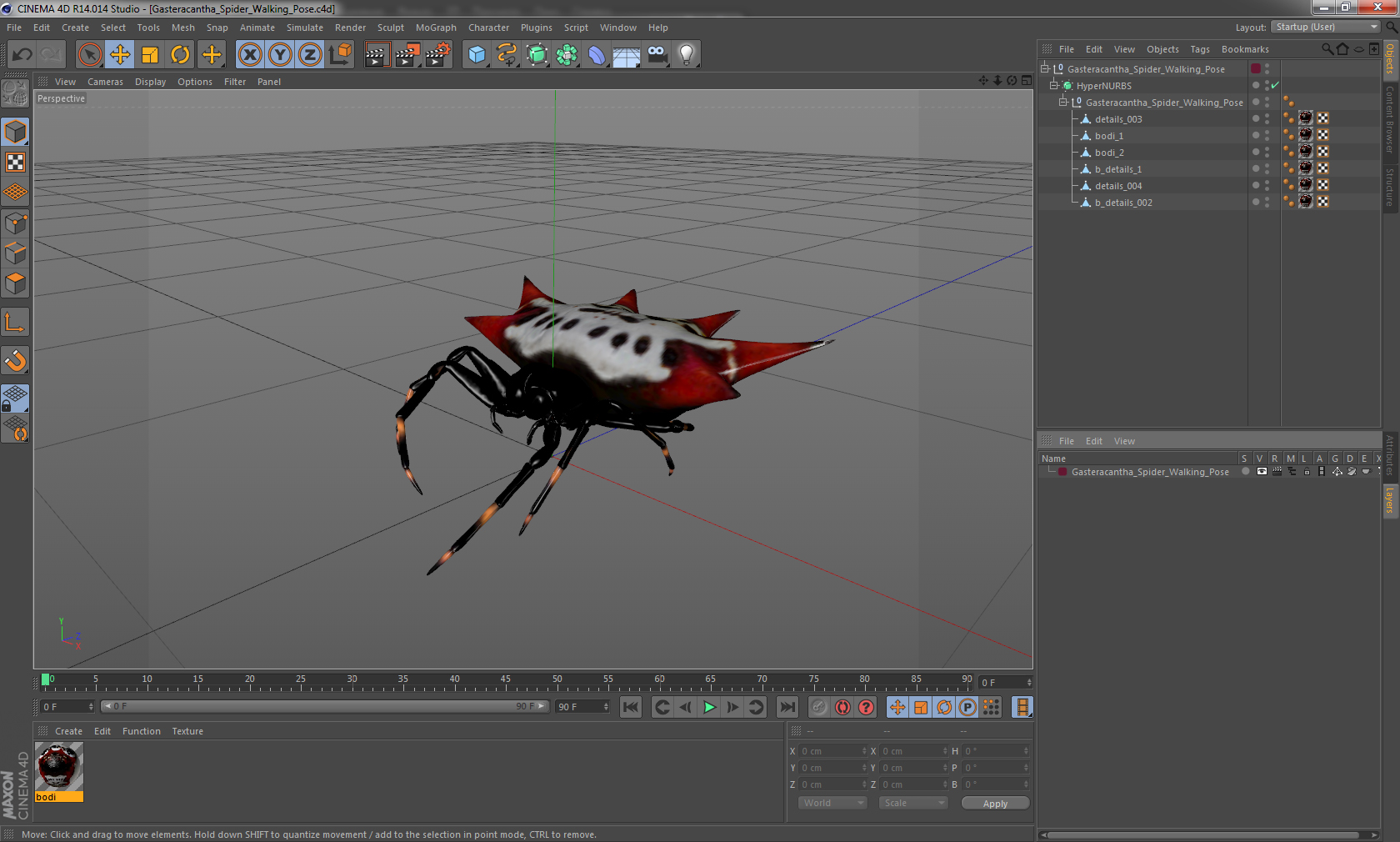 3D Gasteracantha Spider Walking Pose model