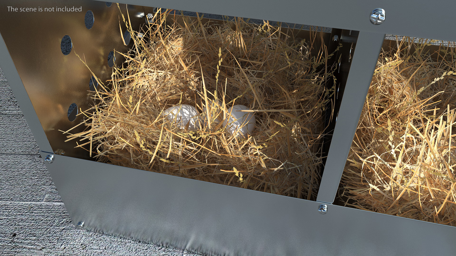 3D 4-Hole Poultry Nest Box With Chicken Eggs