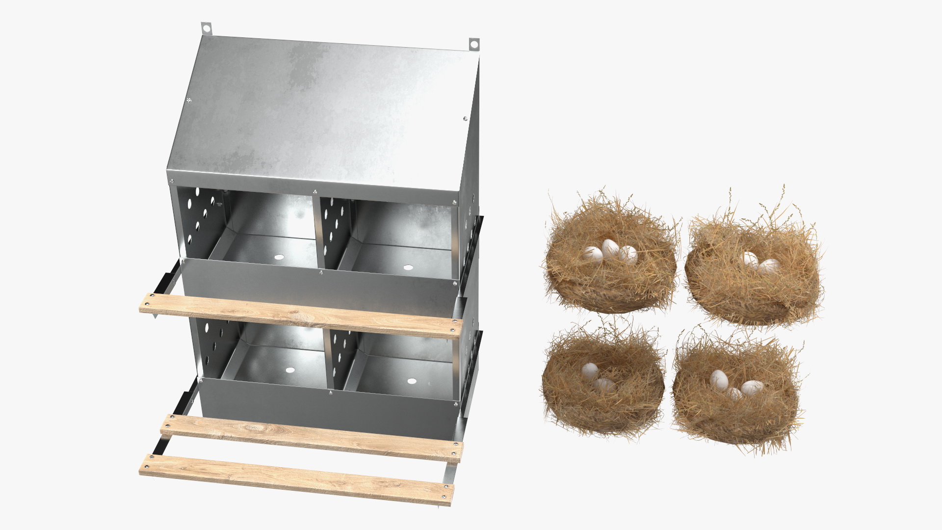 3D 4-Hole Poultry Nest Box With Chicken Eggs