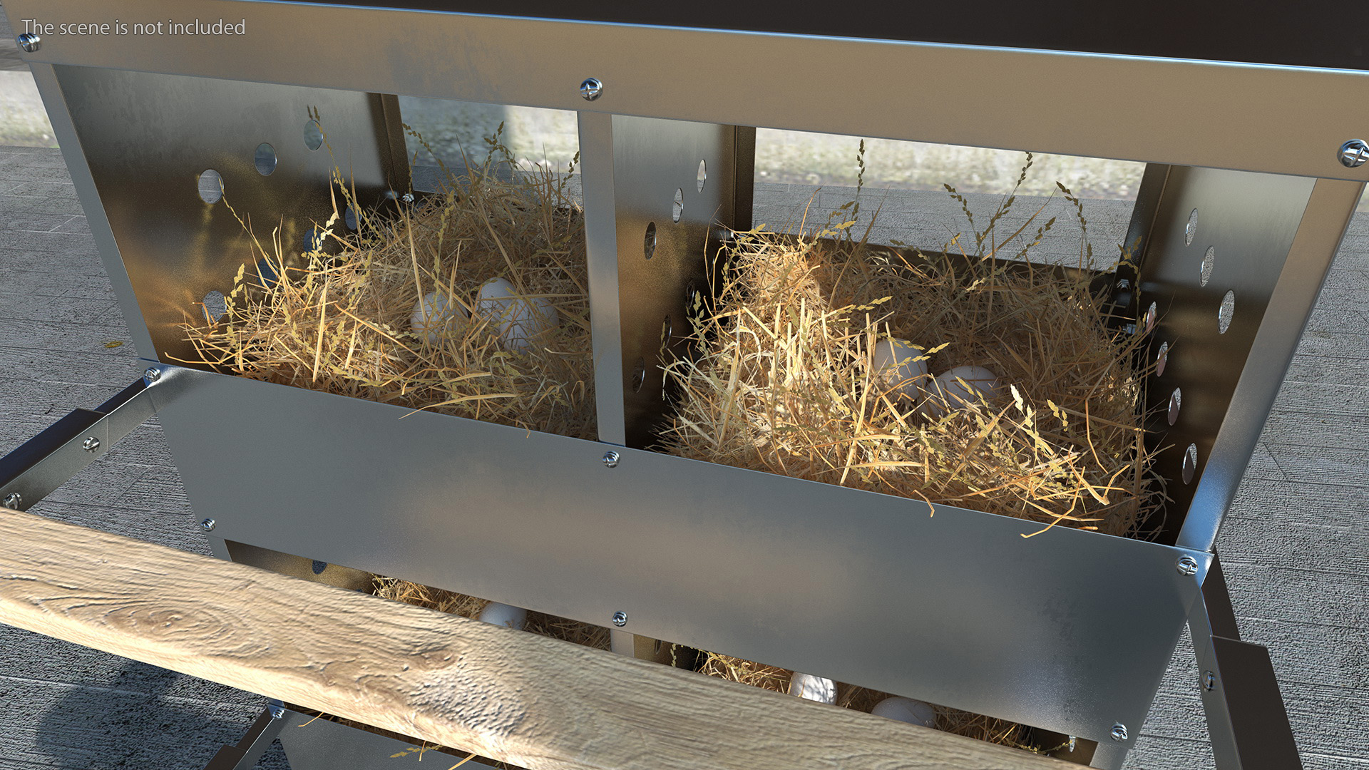 3D 4-Hole Poultry Nest Box With Chicken Eggs