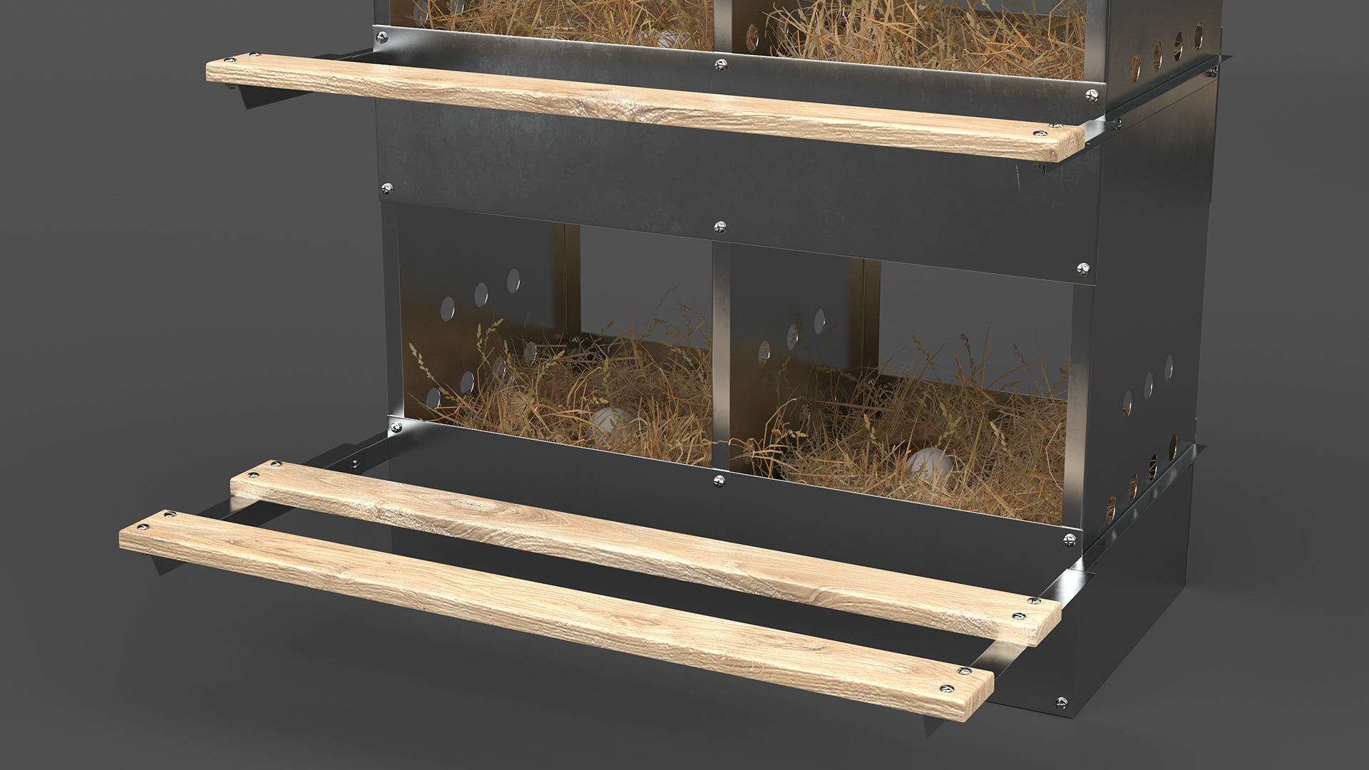 3D 4-Hole Poultry Nest Box With Chicken Eggs