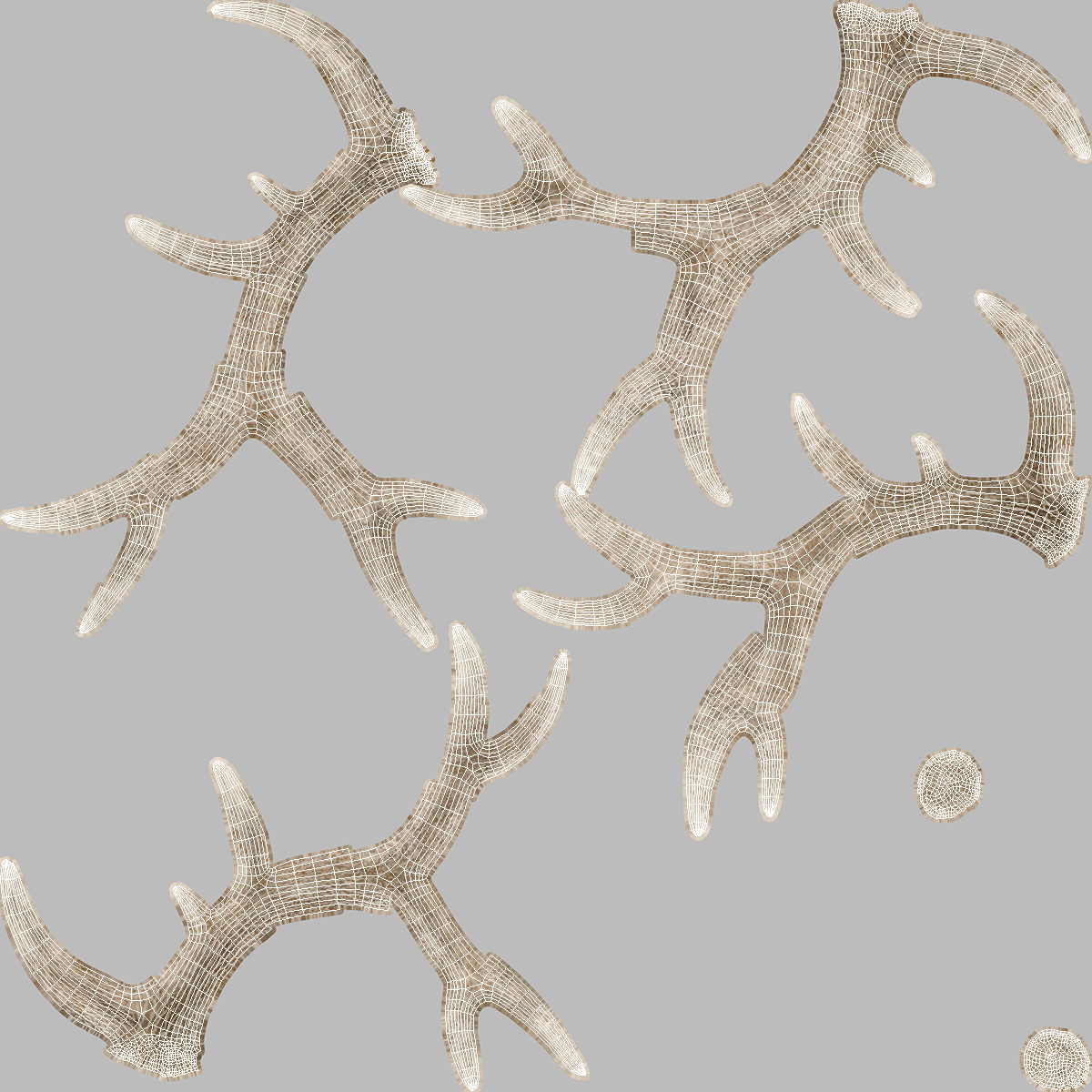 Red Deer Stag Antlers on a Wall Mount 3D