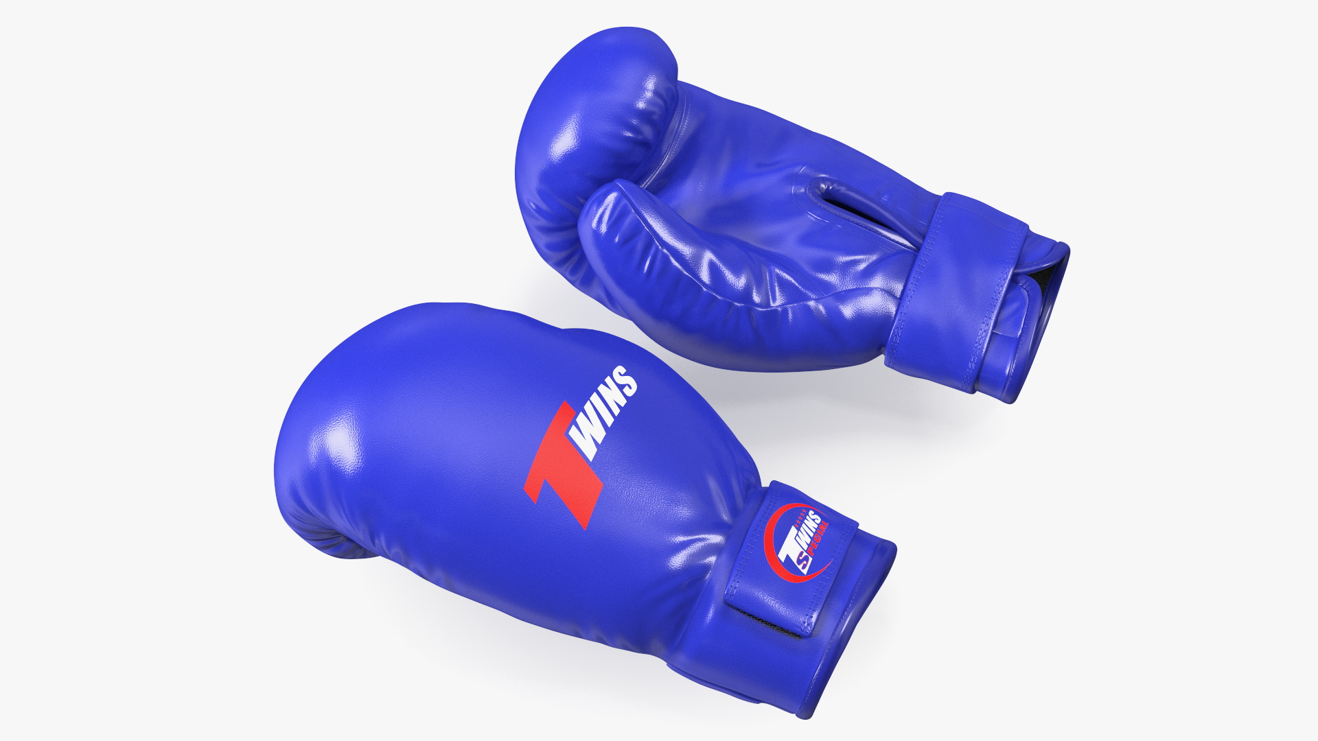 Special Boxing Gloves TWINS 3D