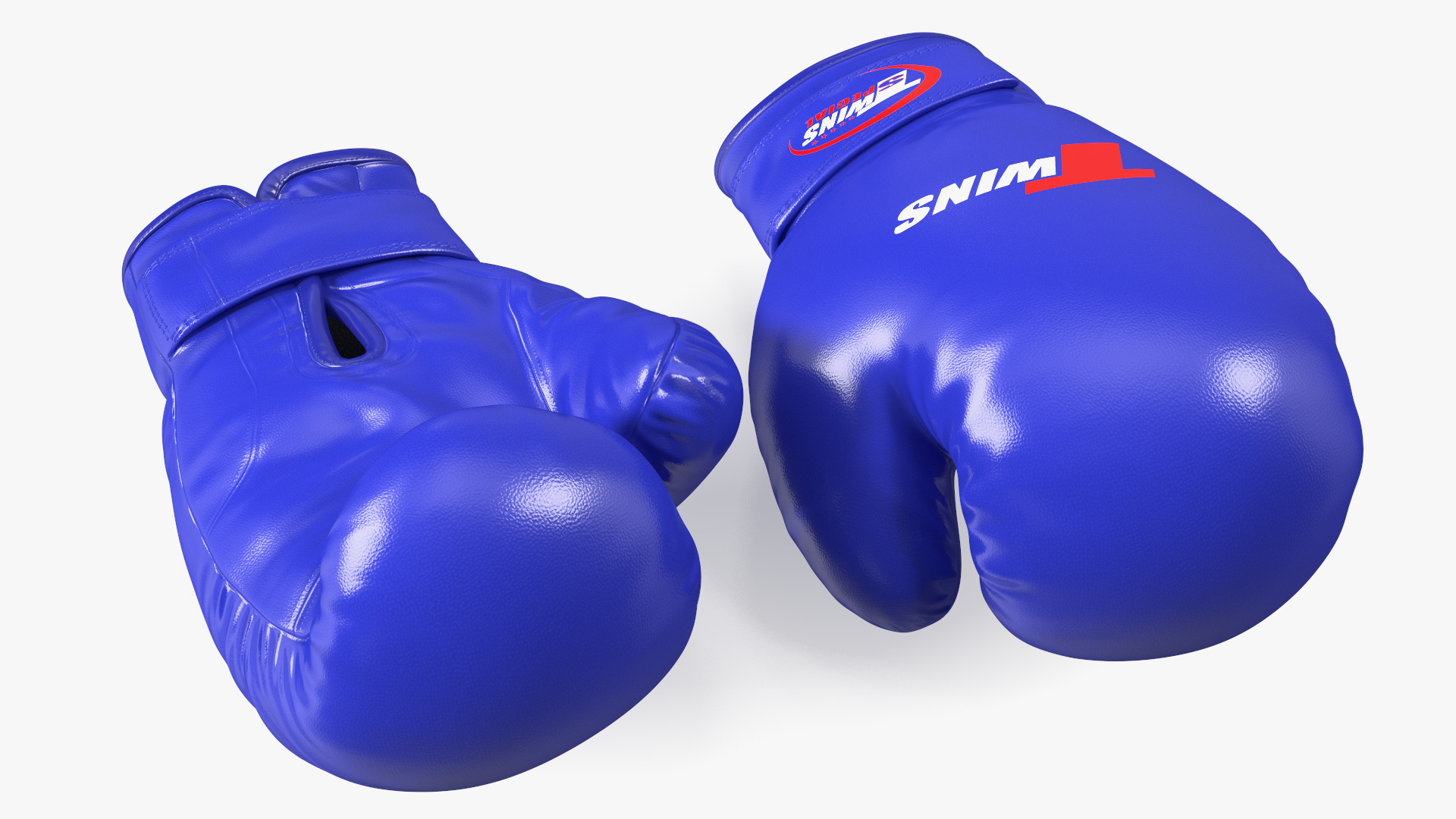 Special Boxing Gloves TWINS 3D