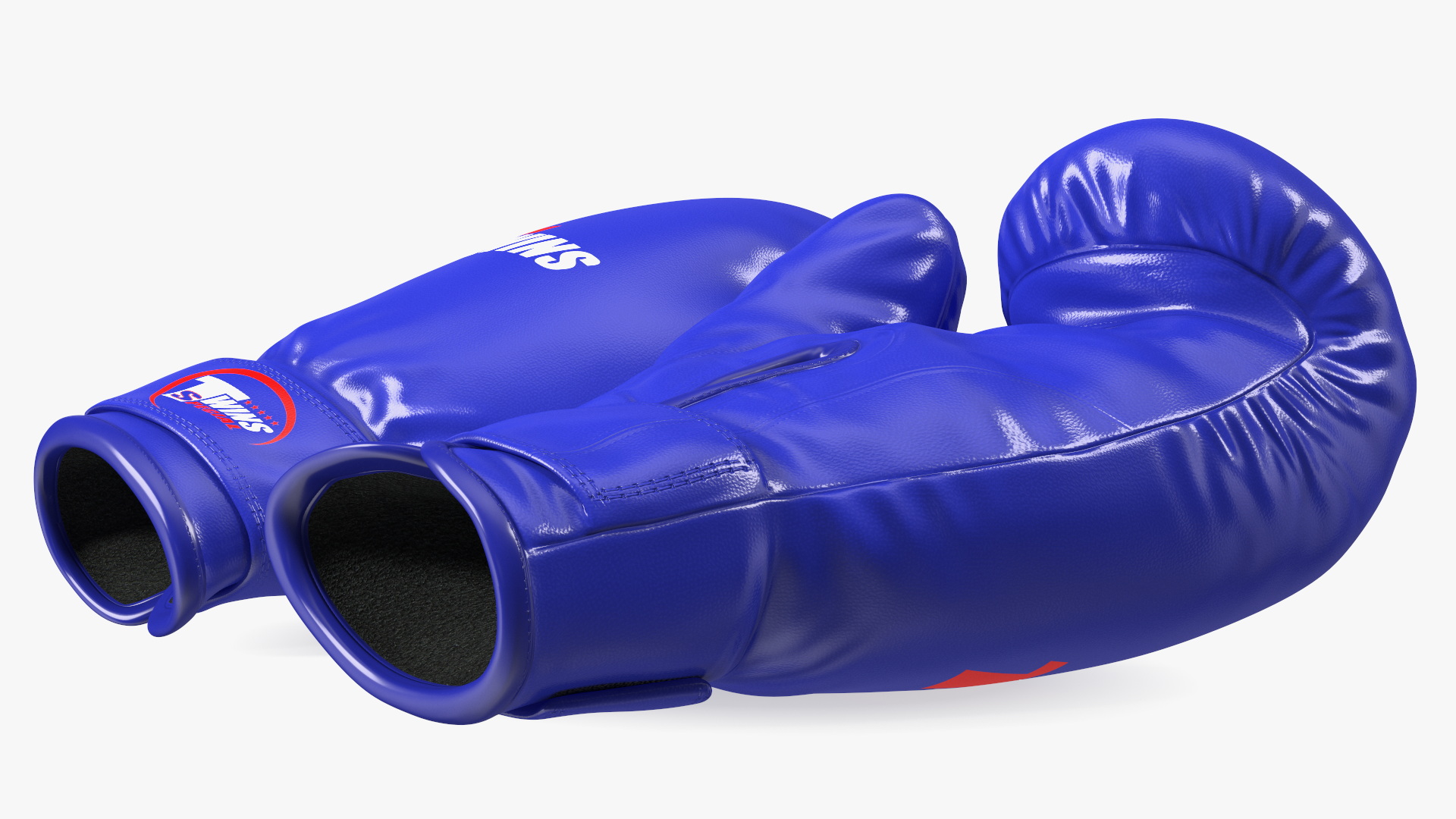 Special Boxing Gloves TWINS 3D