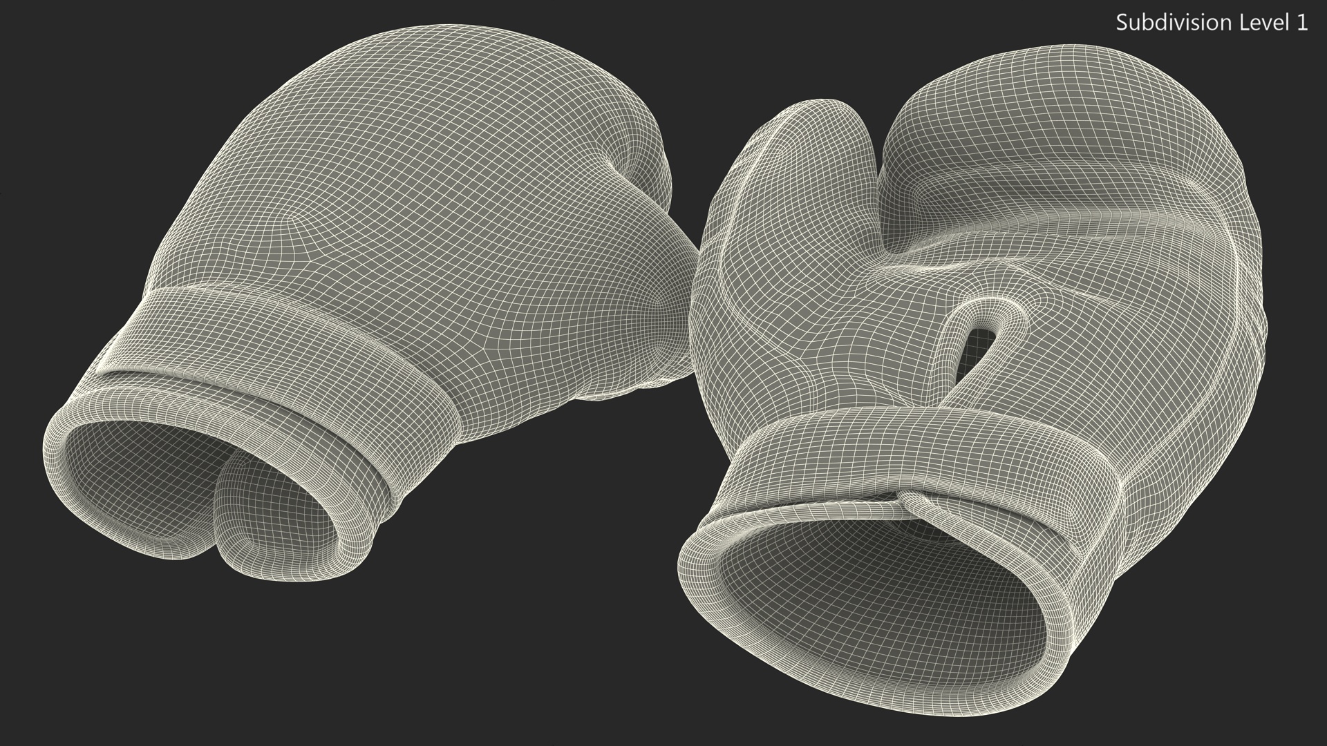 Special Boxing Gloves TWINS 3D