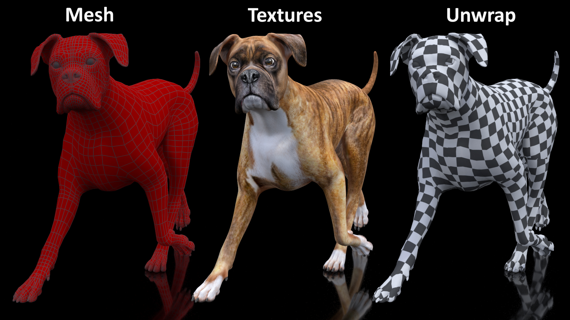 3D Running Dog Boxer Tiger Colored