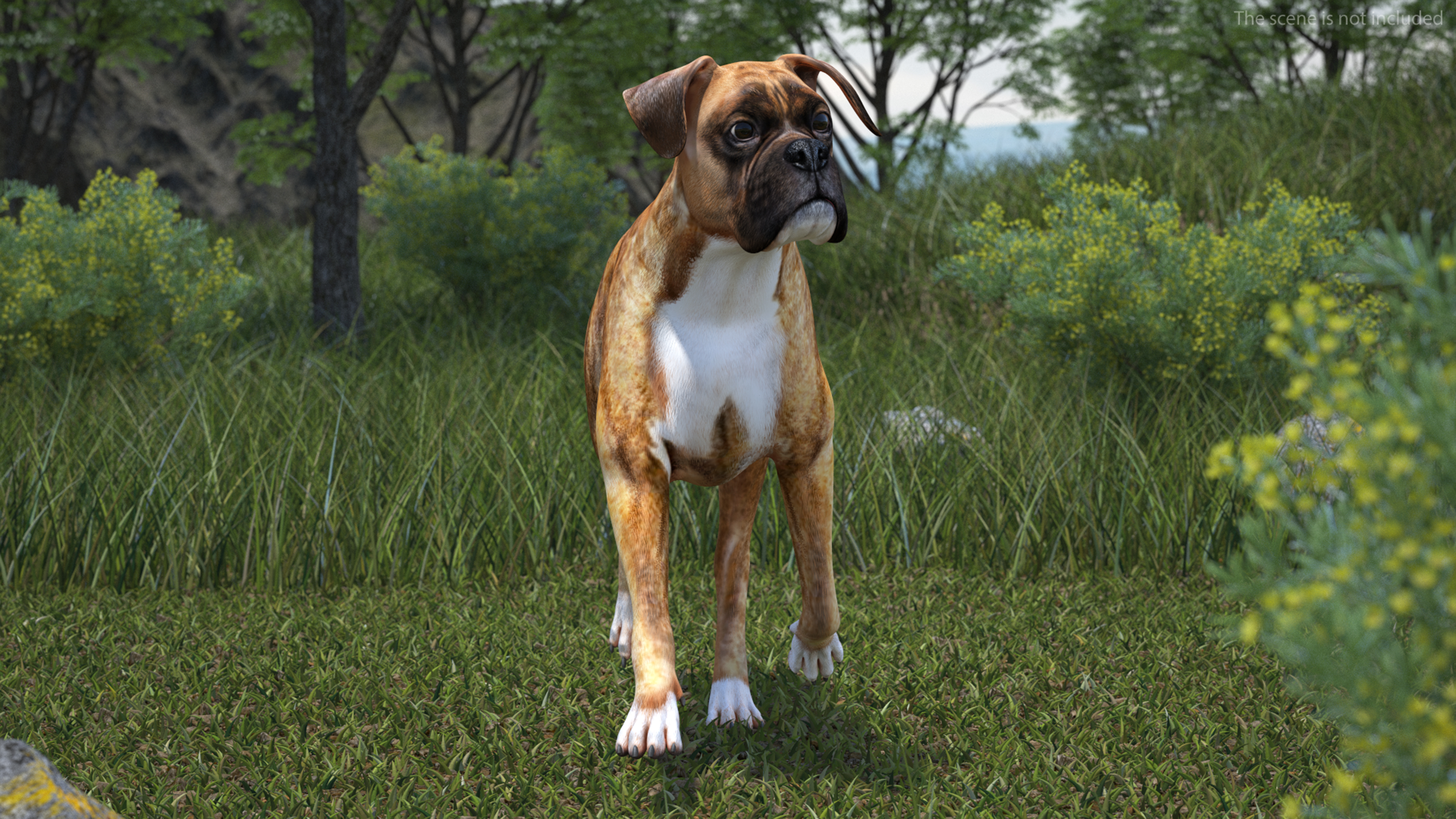 3D Running Dog Boxer Tiger Colored