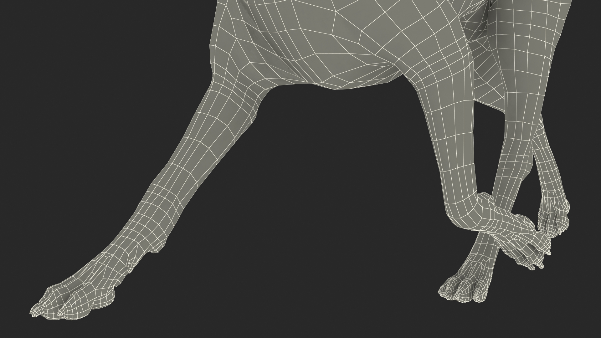 3D Running Dog Boxer Tiger Colored