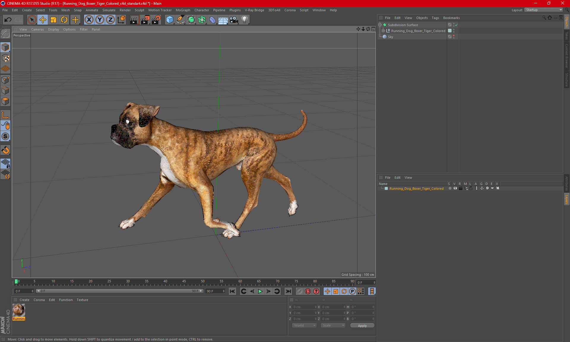 3D Running Dog Boxer Tiger Colored