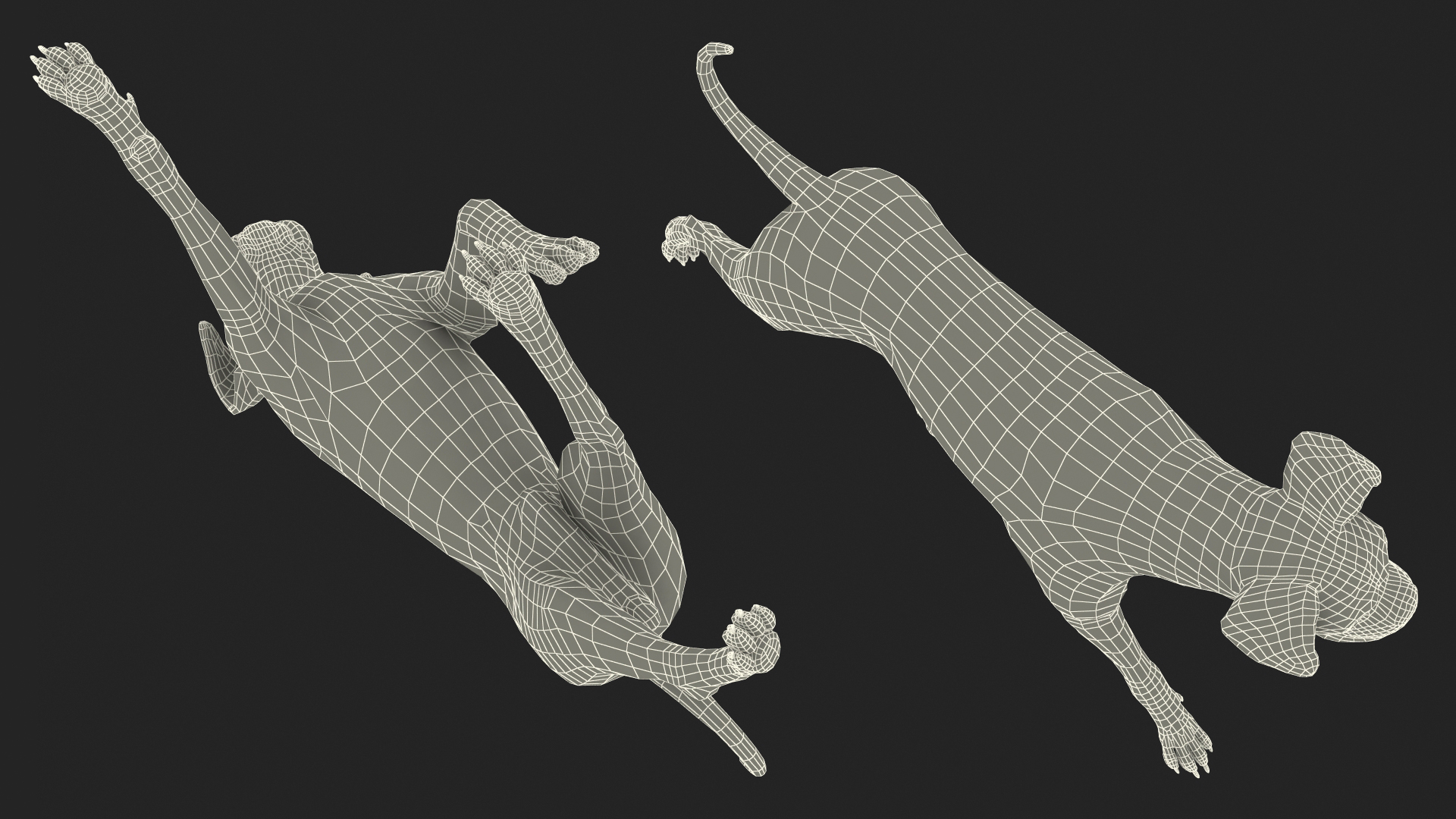 3D Running Dog Boxer Tiger Colored