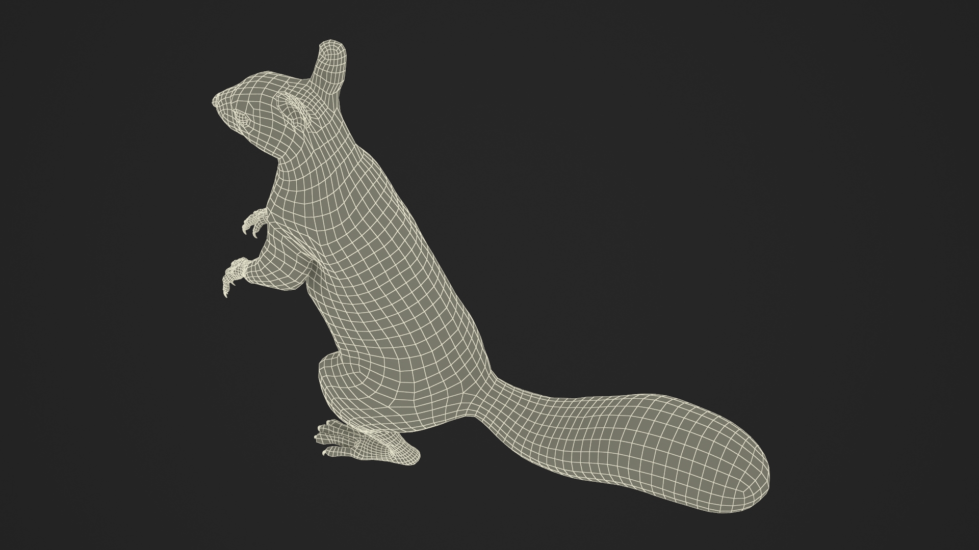 3D model Gray Squirrel in Standing Pose