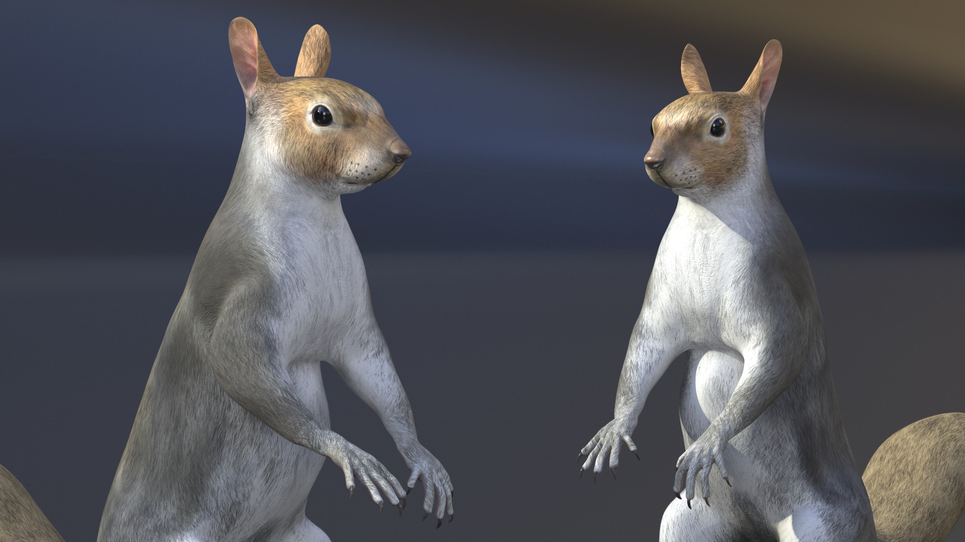 3D model Gray Squirrel in Standing Pose