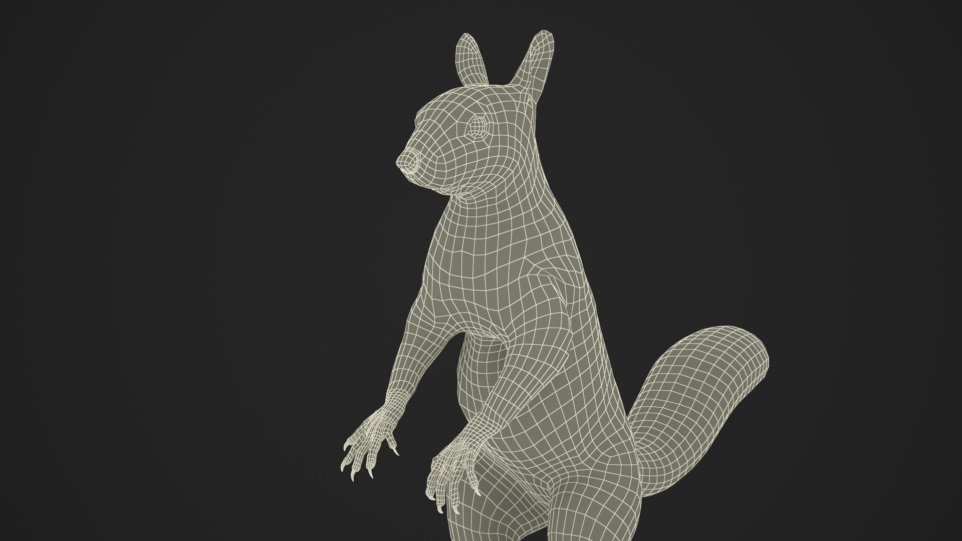 3D model Gray Squirrel in Standing Pose