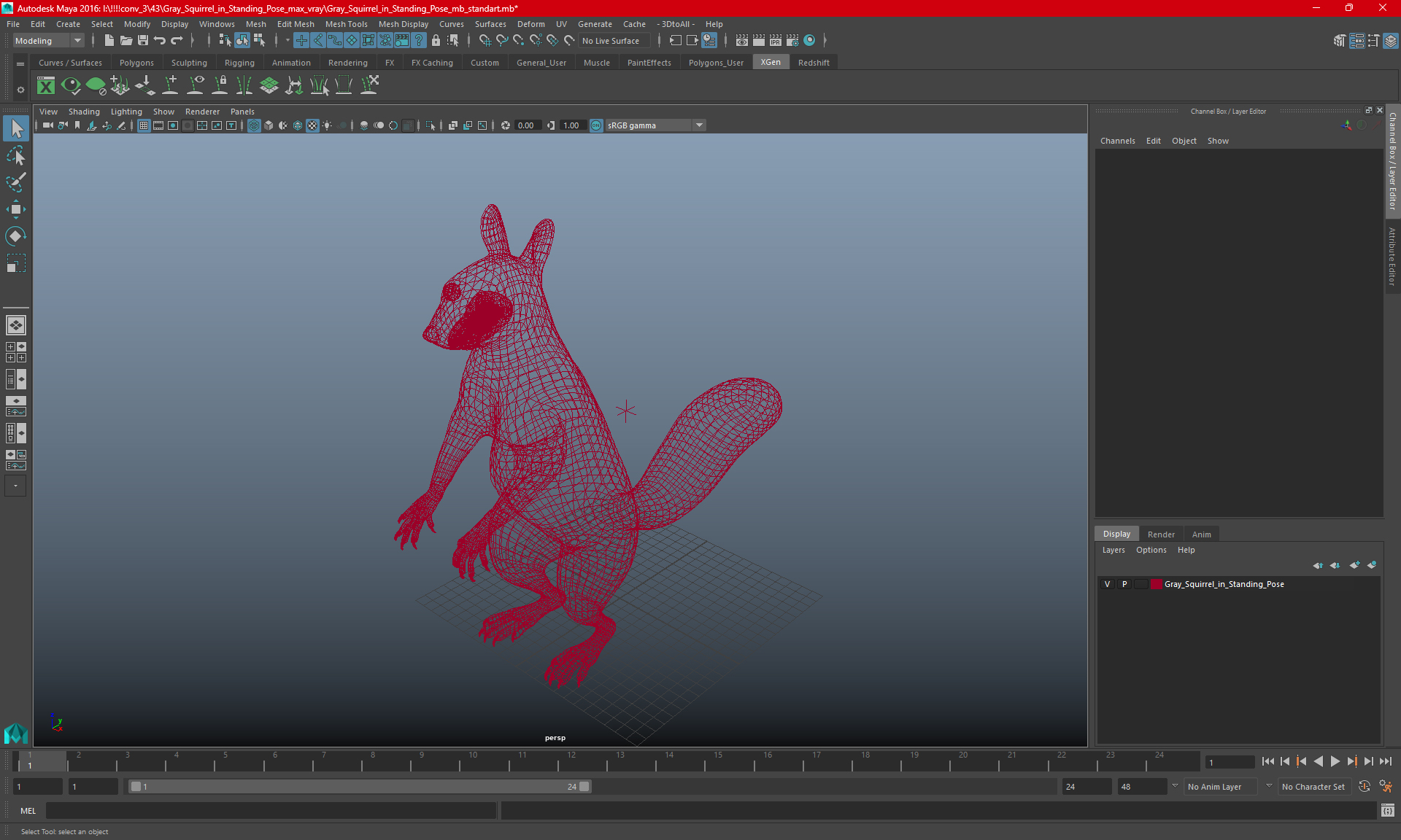3D model Gray Squirrel in Standing Pose