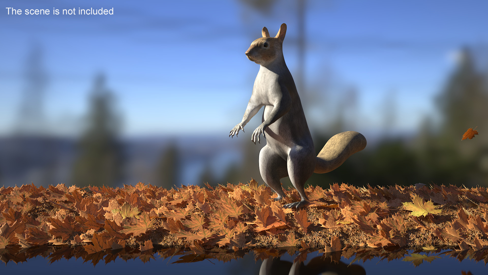 3D model Gray Squirrel in Standing Pose
