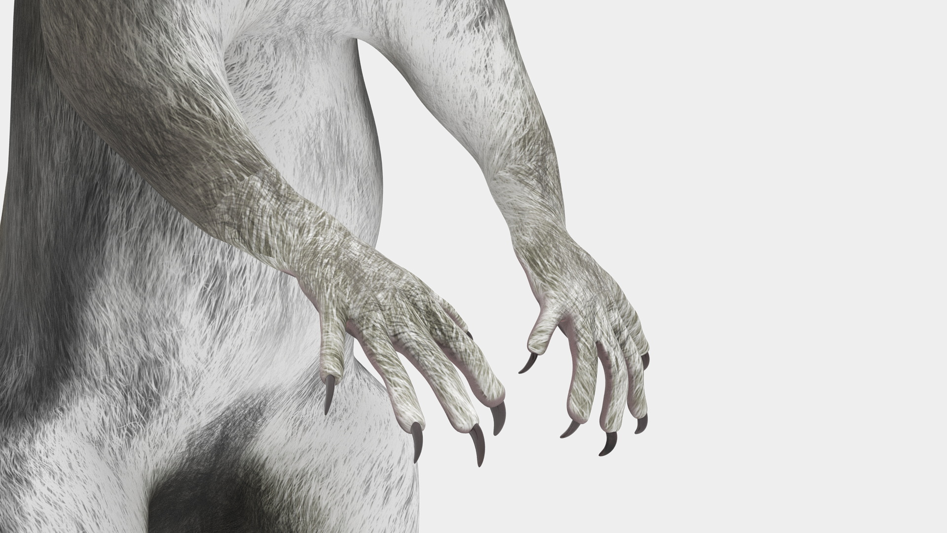 3D model Gray Squirrel in Standing Pose