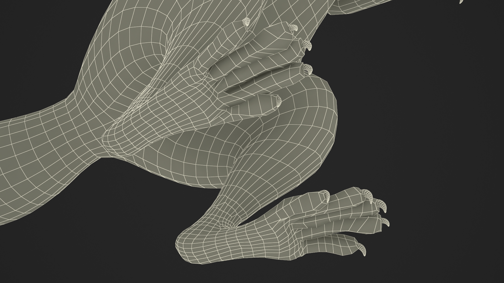 3D model Gray Squirrel in Standing Pose