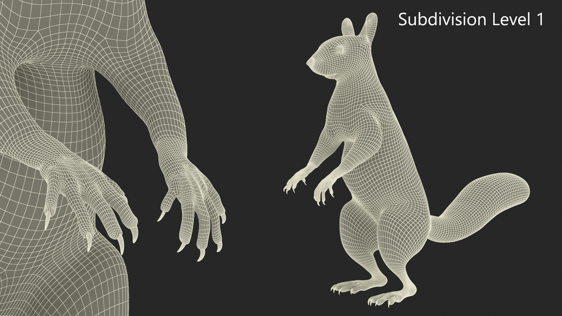 3D model Gray Squirrel in Standing Pose