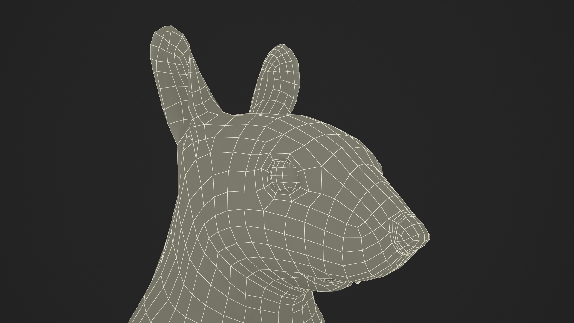 3D model Gray Squirrel in Standing Pose