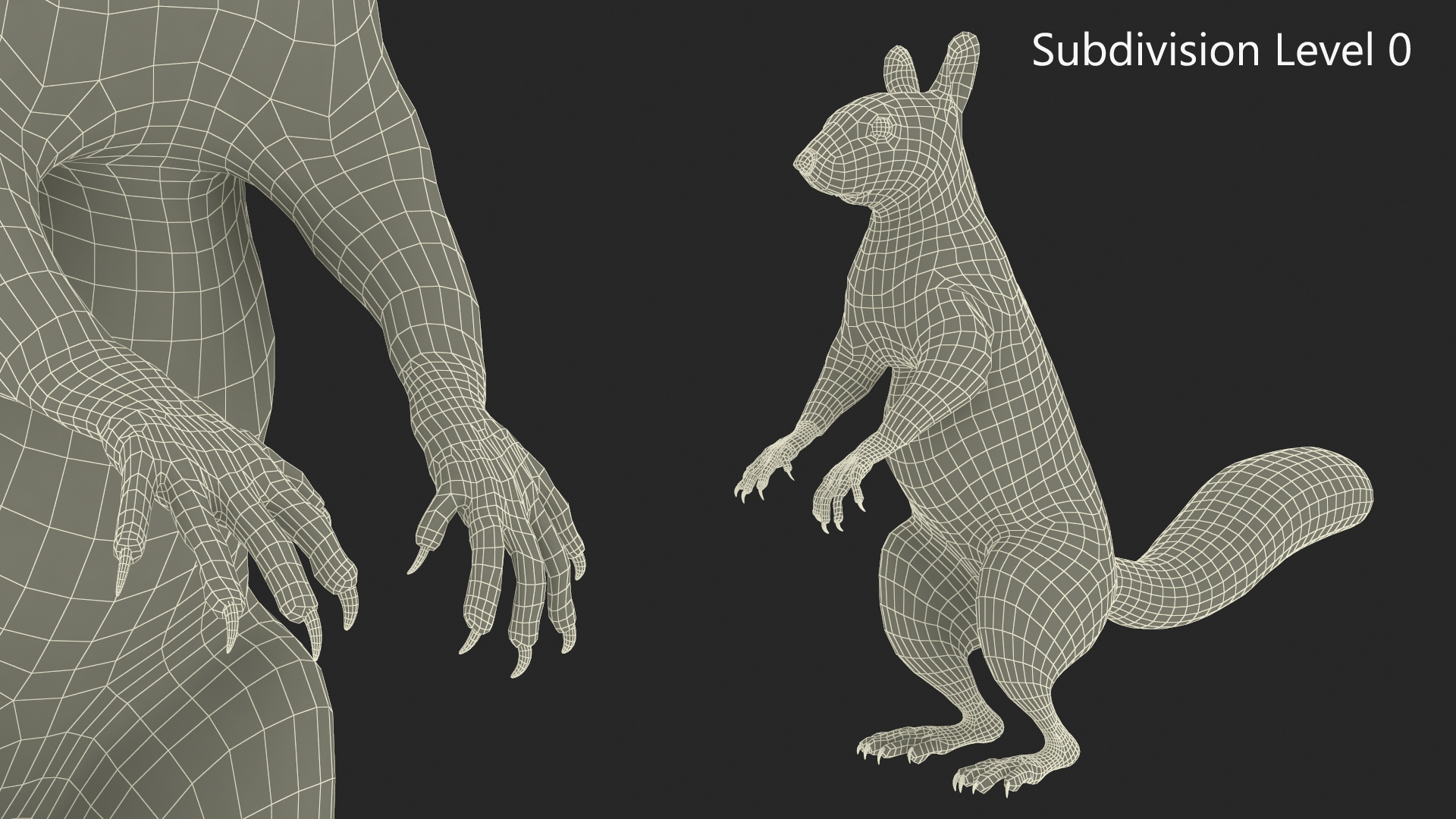 3D model Gray Squirrel in Standing Pose