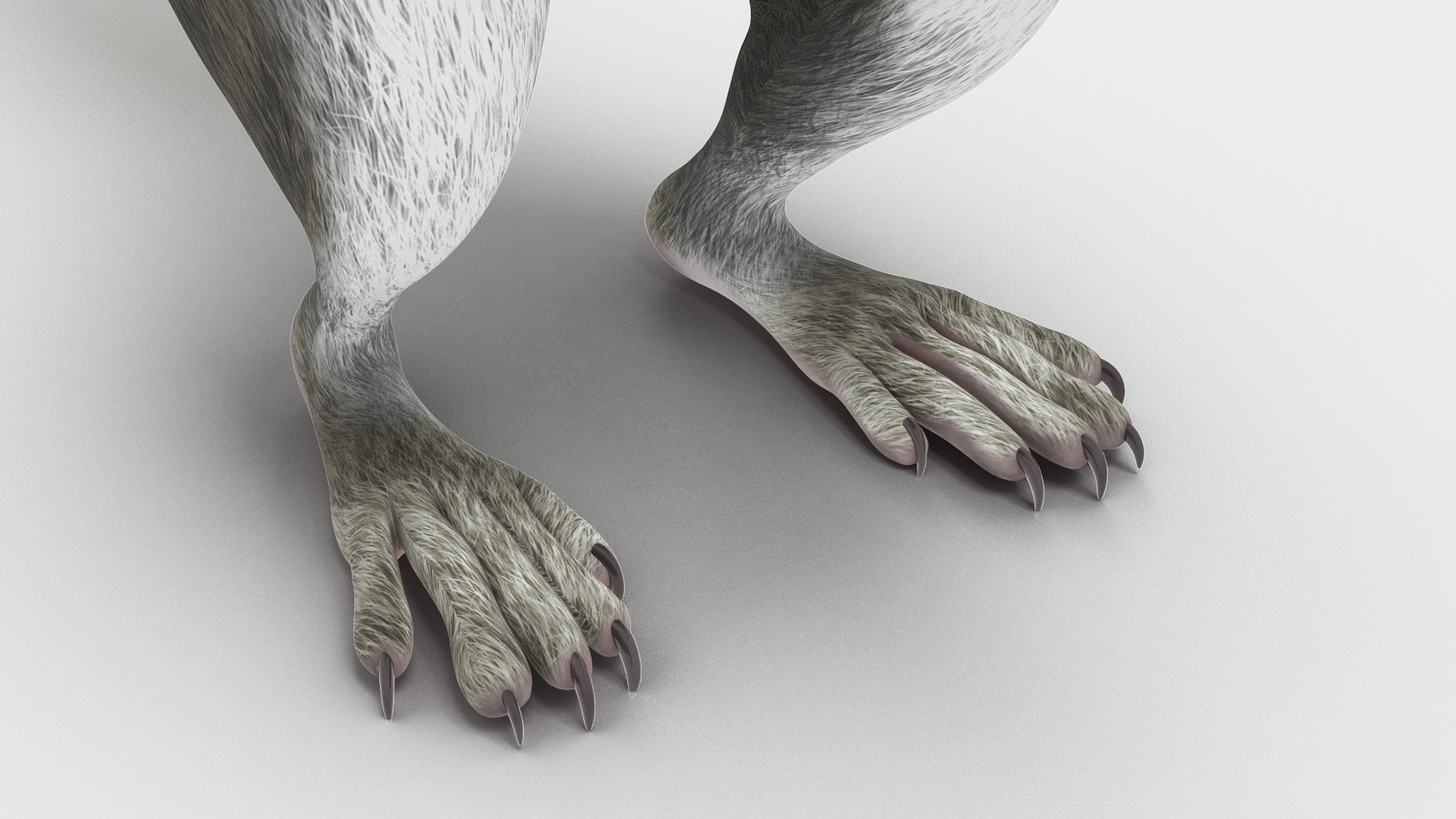 3D model Gray Squirrel in Standing Pose