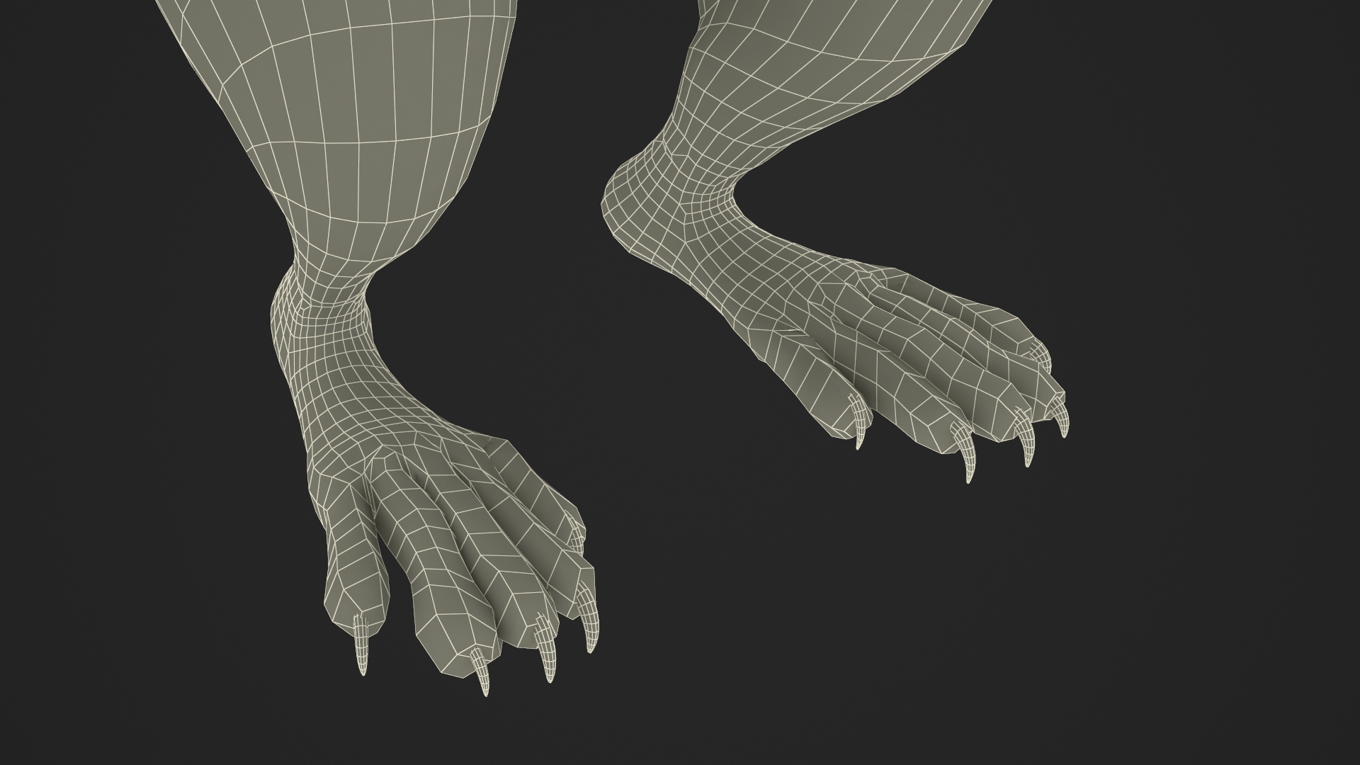 3D model Gray Squirrel in Standing Pose