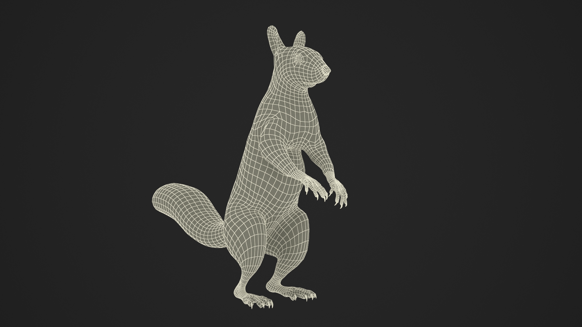 3D model Gray Squirrel in Standing Pose