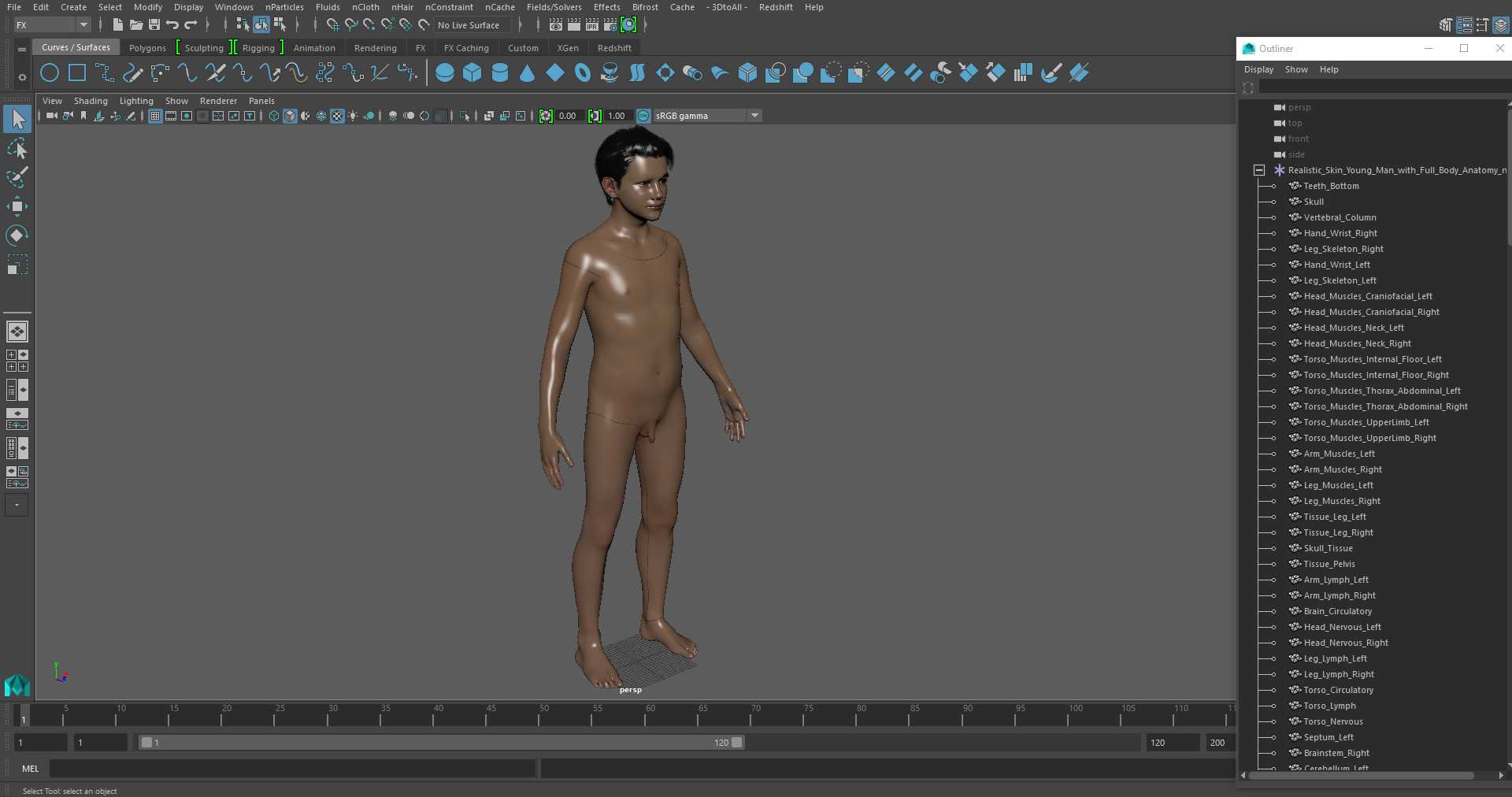 Realistic Skin Young Man with Full Body Anatomy 3D