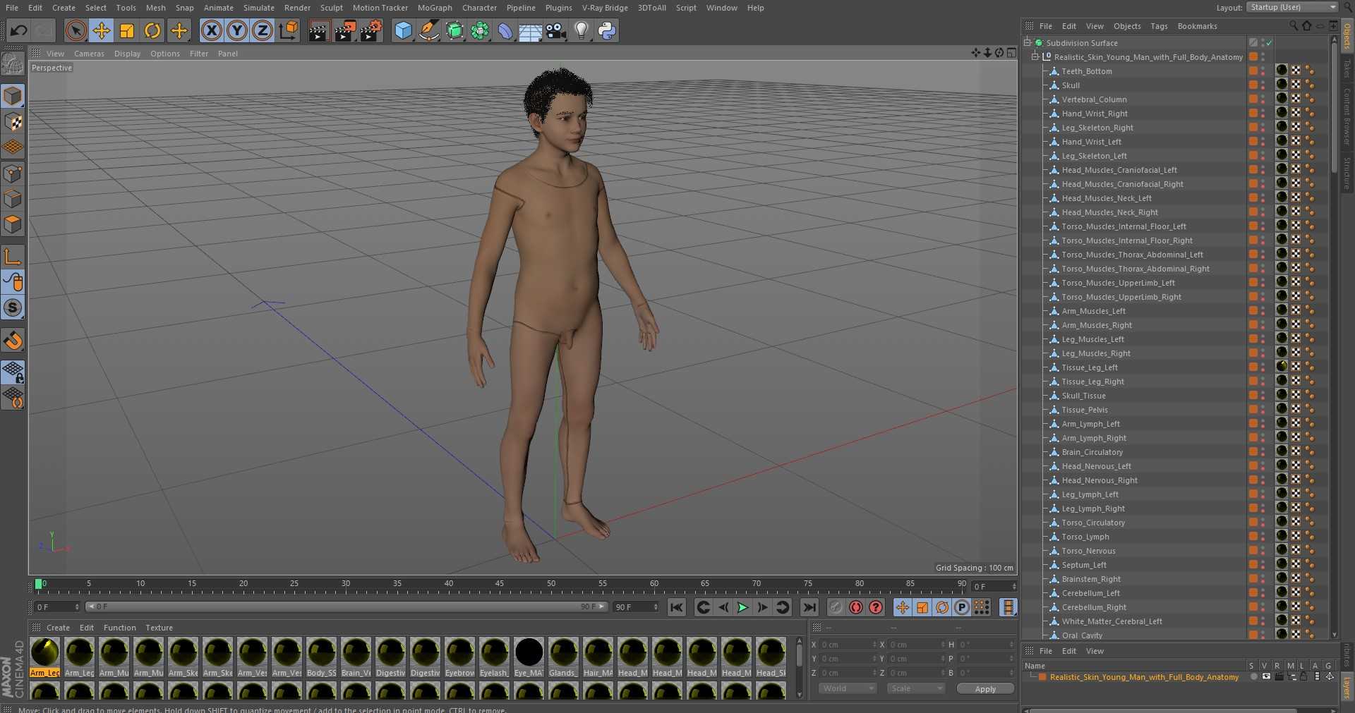 Realistic Skin Young Man with Full Body Anatomy 3D