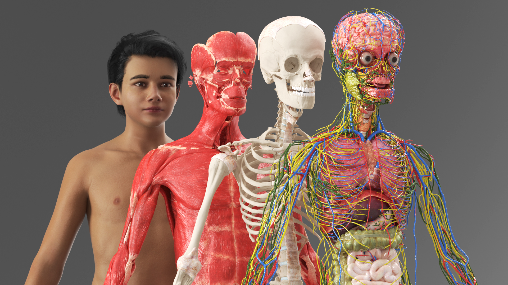 Realistic Skin Young Man with Full Body Anatomy 3D