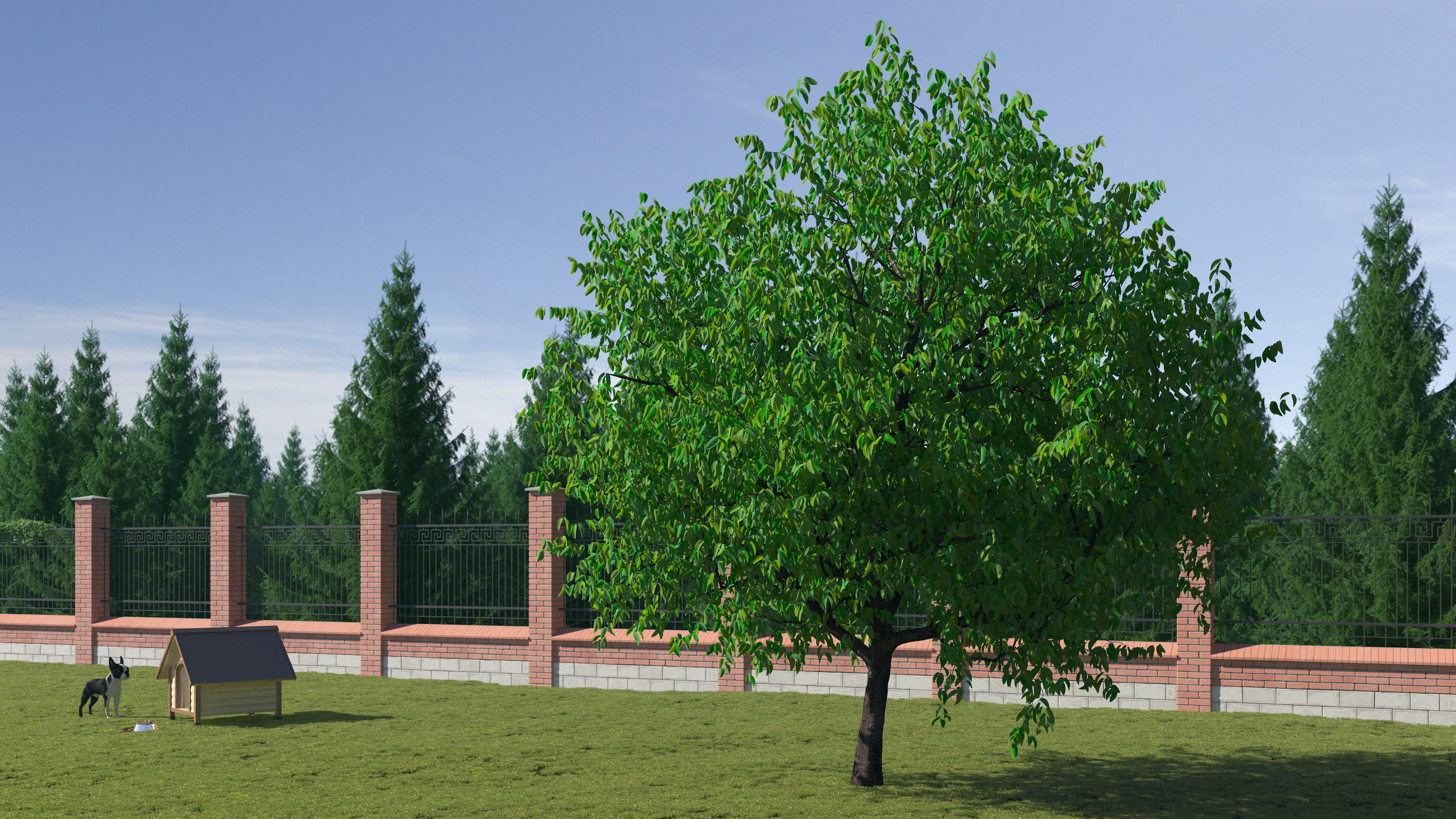Cherry Tree, view 5