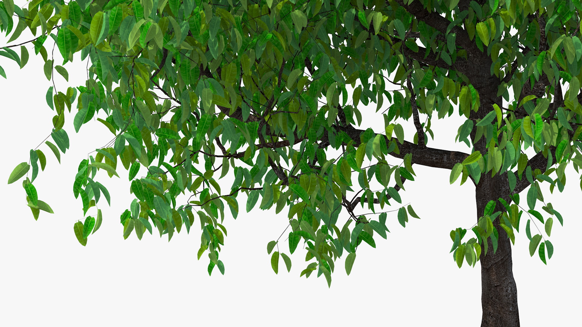3D Cherry Tree