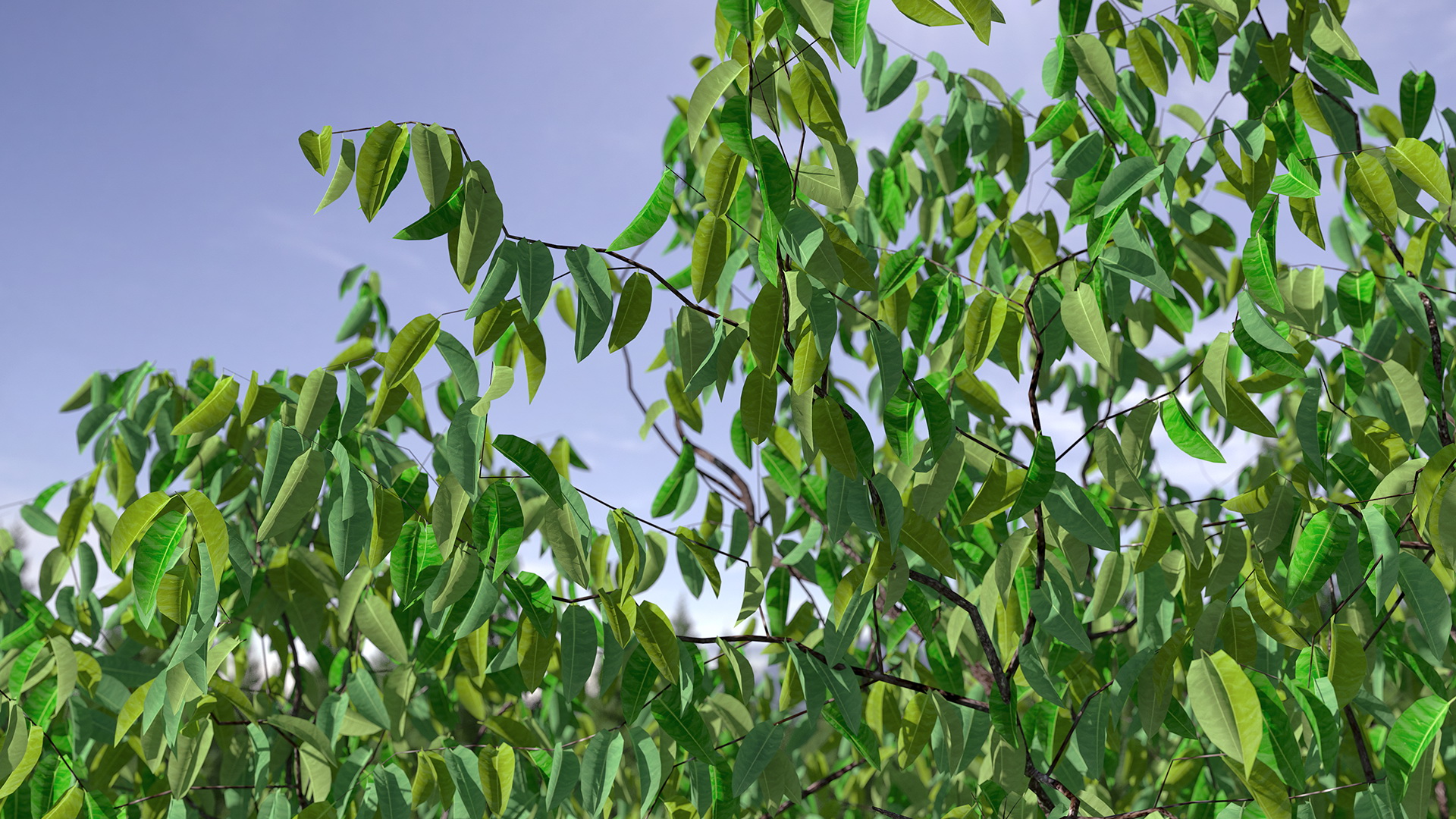 3D Cherry Tree