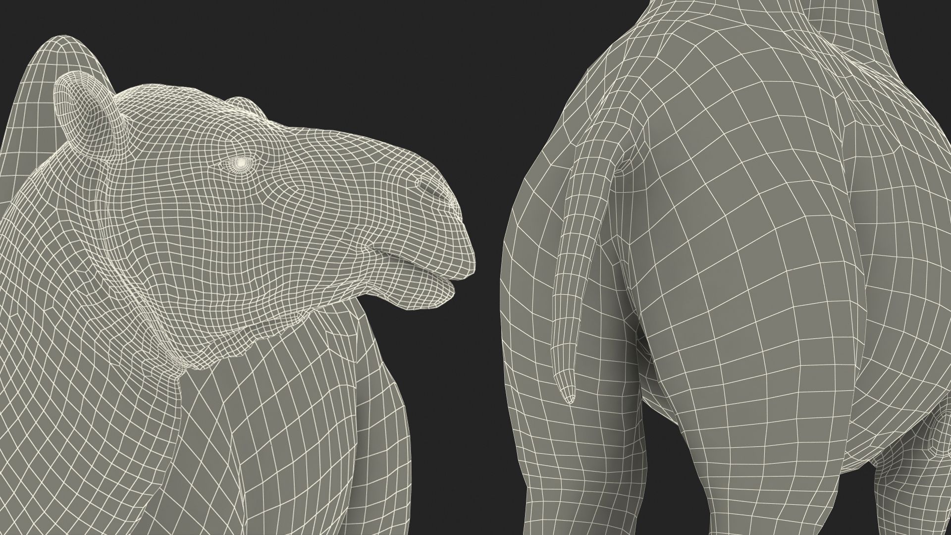 Bactrian Camel Standing Pose Fur 3D