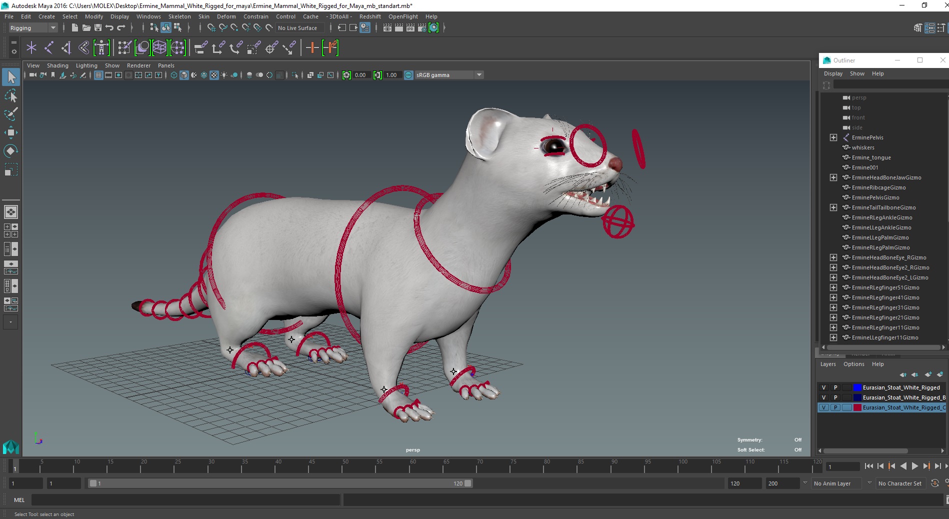 3D model Ermine Mammal White Rigged for Maya