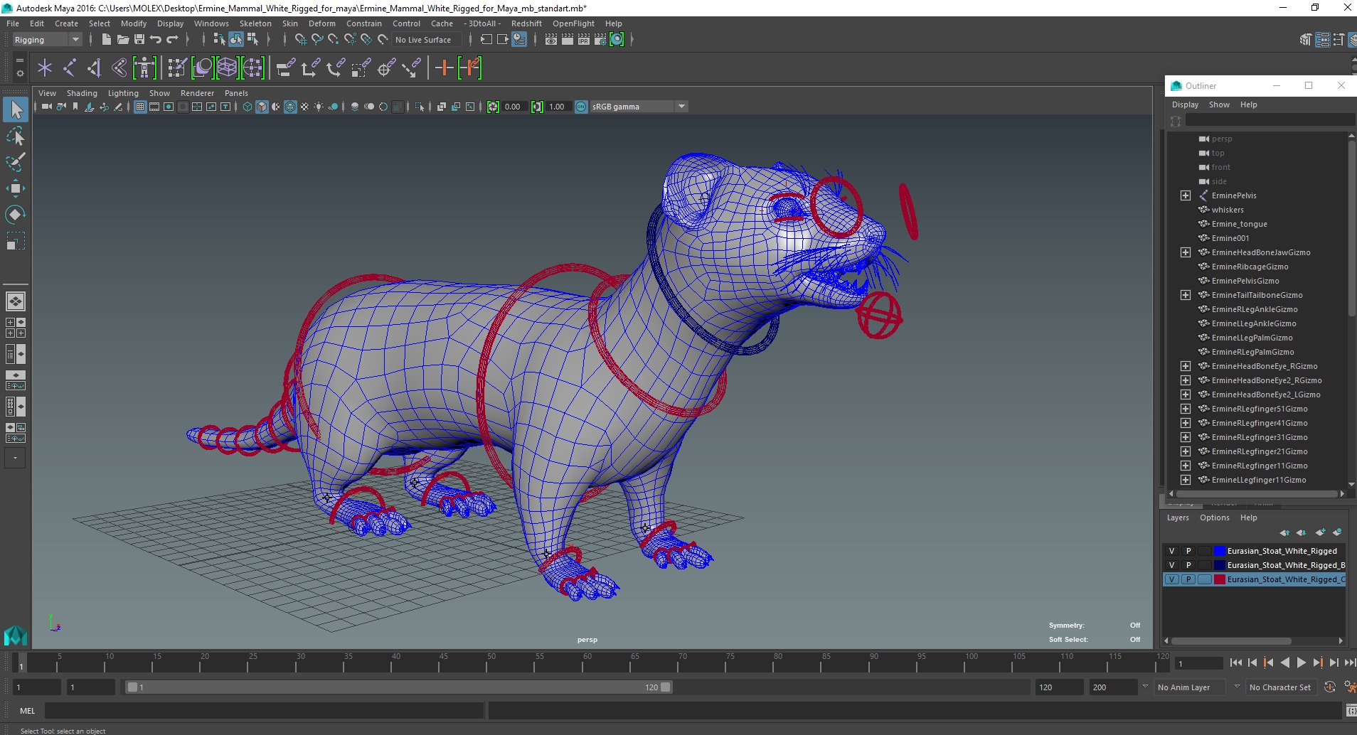3D model Ermine Mammal White Rigged for Maya