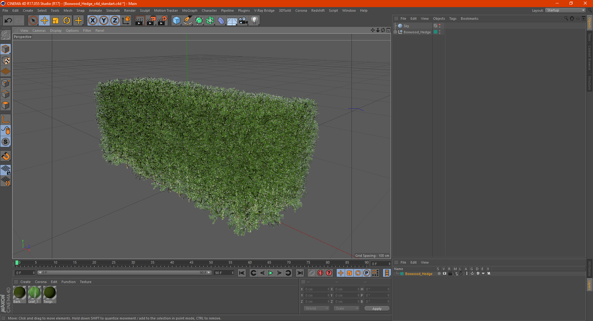 3D Boxwood Hedge model