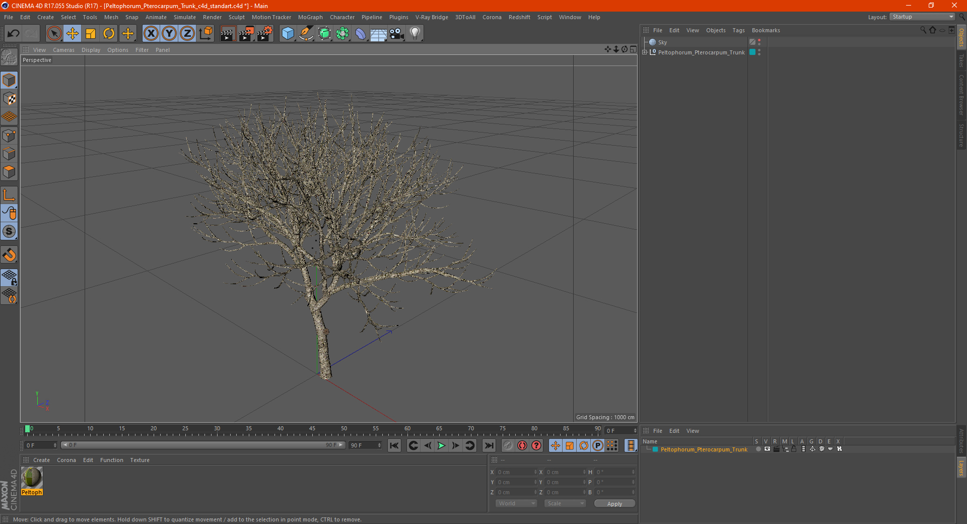 Peltophorum Pterocarpum Trunk 3D model