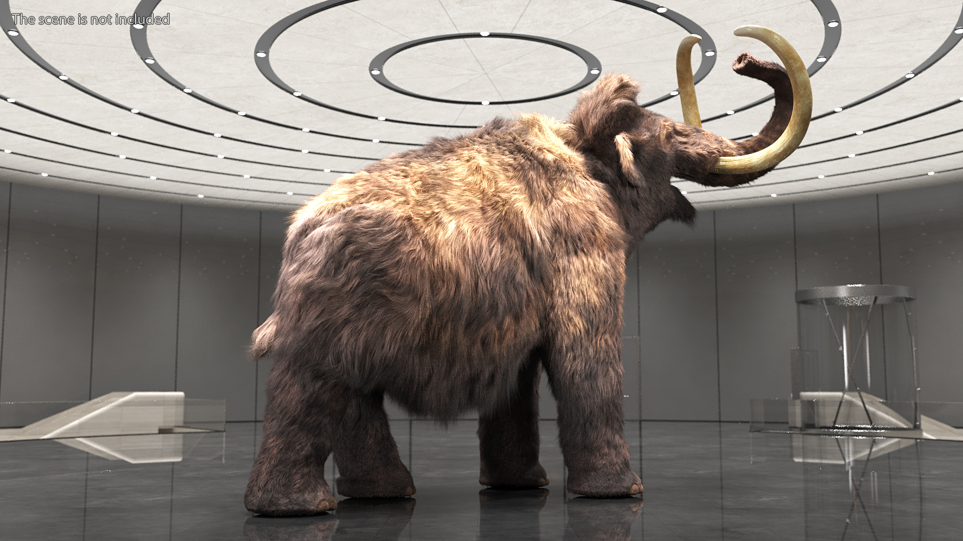 Mammoth Adult Roar Pose Fur 3D