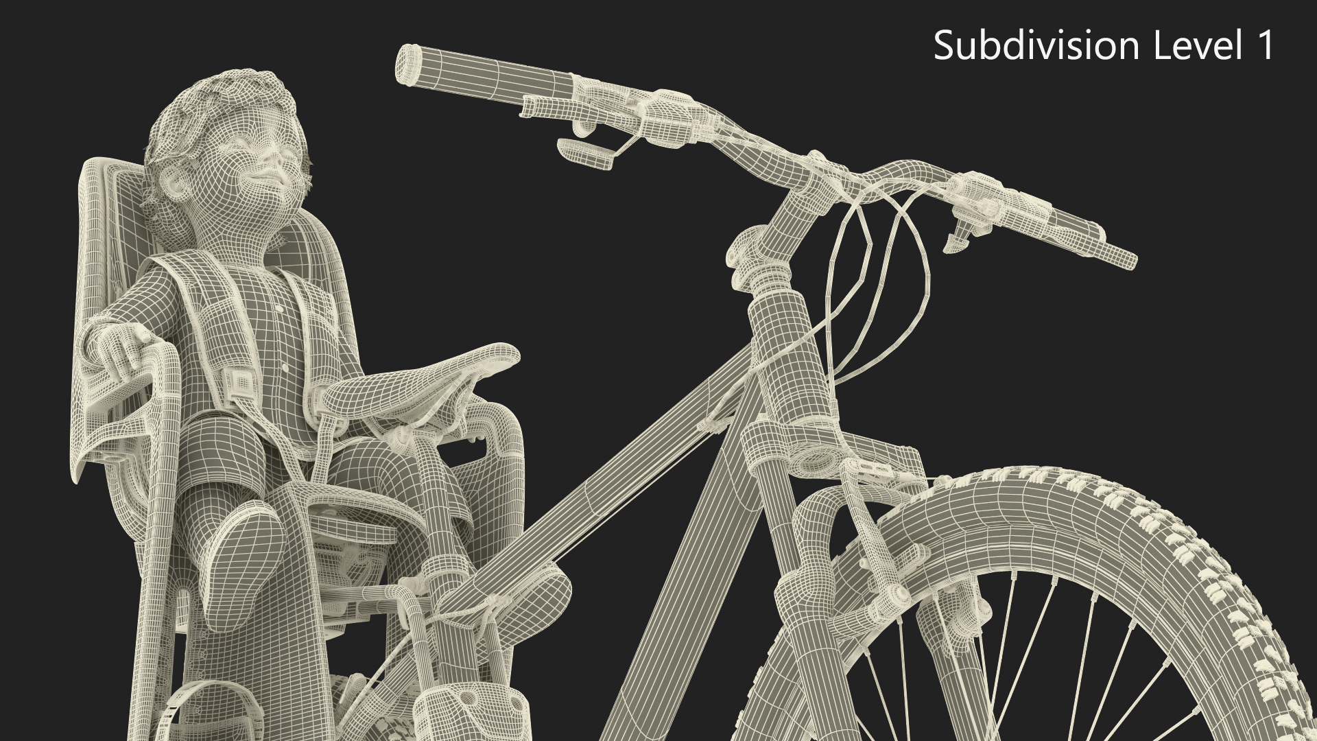 3D Toddler in Thule Safety Seat on Bike