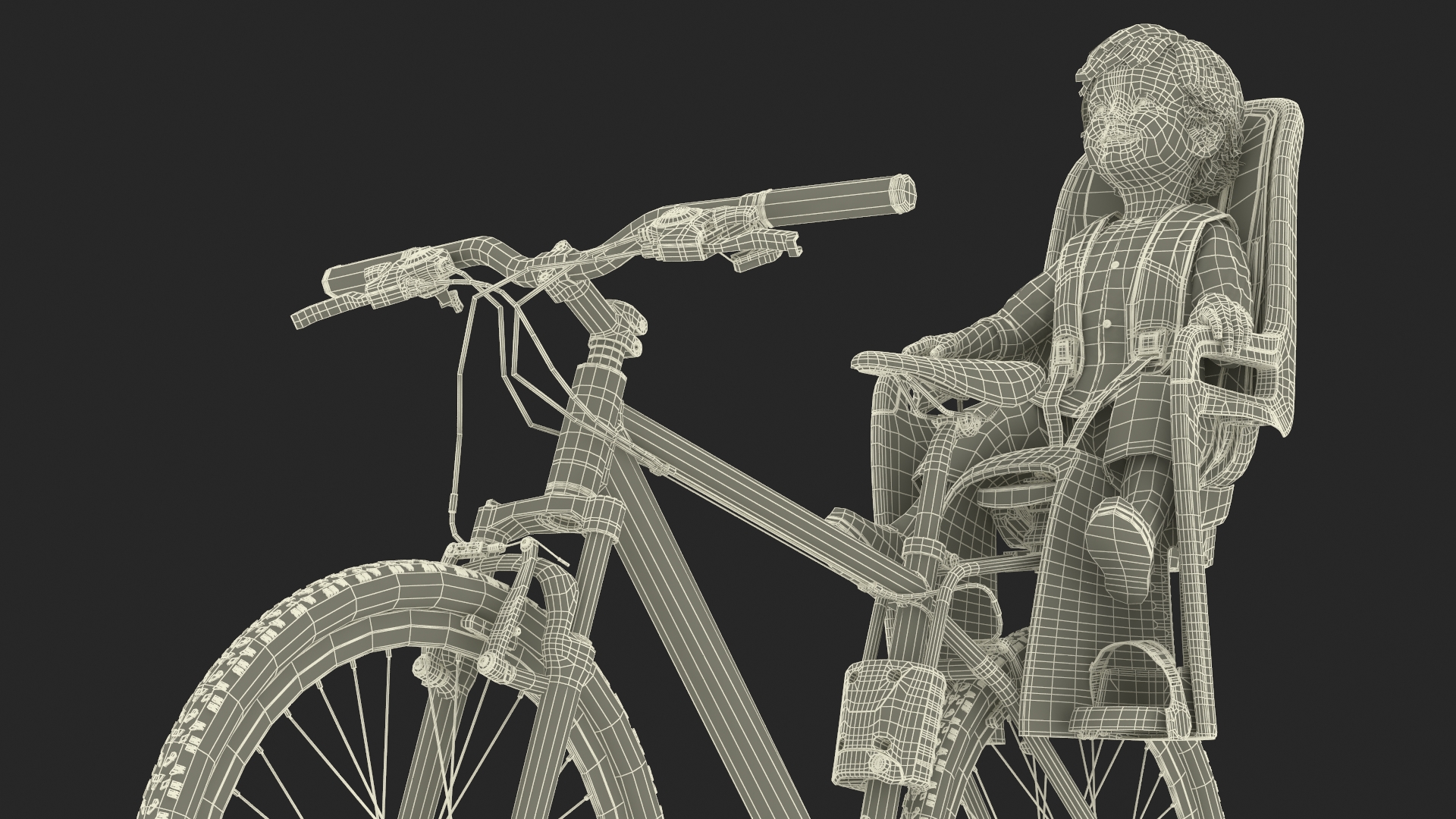3D Toddler in Thule Safety Seat on Bike
